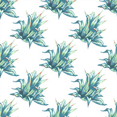 24_blue agave graphic colored blue agave, main ingredient of tequila, sketch, vector illustration, drawing of agave cactus, side view, colorful illustration, seamless pattern