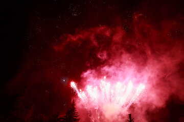 Fireworks sparks on a black sky background. graphic resource for design. Blank for the designer....