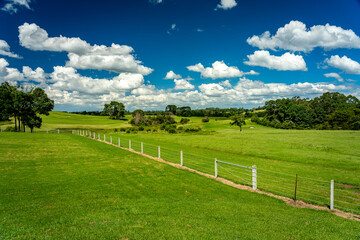Fototapeta na wymiar Beautiful green pastures in Maleny, Queensland, Australia