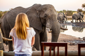 A girl gets up close and personal with an African elephant at the Nehimba Safari Lodge in Hwange...