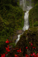 Beautiful photo of a waterfall in the green jungle, tropical mountains, red flowers in the foreground, Colombia