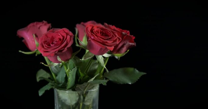 Fresh red roses in vase. Fresh gardening roses stay in the glass vase in the night.