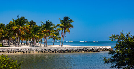 Wonderful tropical paradise beach with Palm trees - travel photography