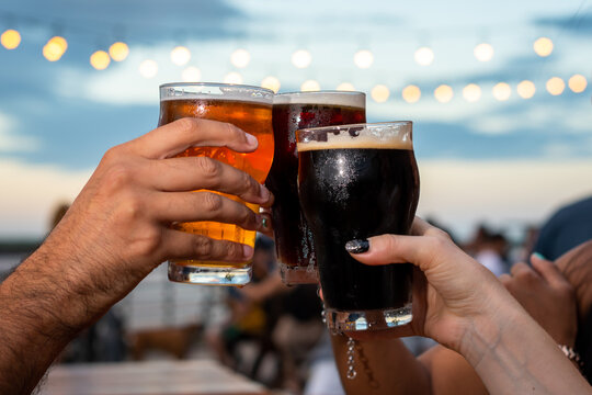 Brindis de Cervezas, de diferentes estilos