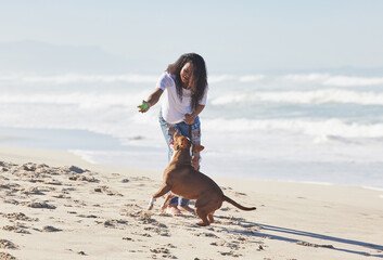 Fototapeta na wymiar Ready, set, fetch. Shot of a woman playing with her pit bull at the beach.