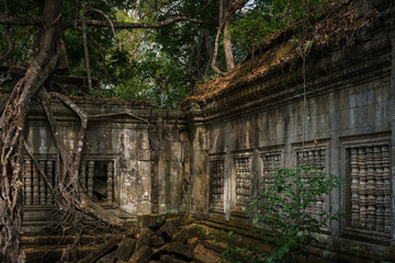 Fototapeta na wymiar Cambodia Temple Ruins
