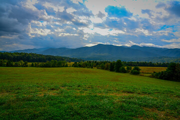 Beautiful landscape photo of an open southern grass field.