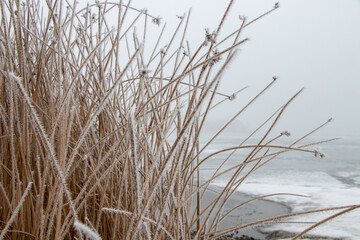 frost on the grass beside a frozen lake