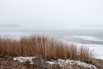 Frost on the grass at Osoyoos Lake, BC