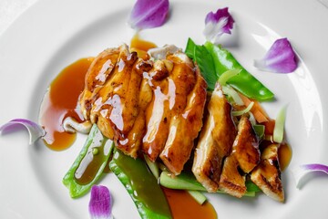 Japanese Restaurant Food Menu Dishes