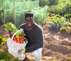 Foto op Aluminium Portrait of african male gardener in rubber gloves posing with a basket in his garden © JackF