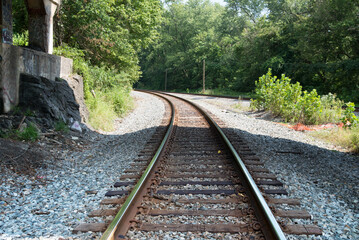 Fototapeta na wymiar Railroad with wooden sleepers in a summer forest