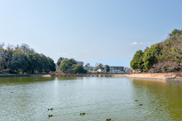 Fukada pond in Kashihara shrine in Nara, Japan