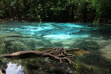 View of EMERALD POOL in forest at thailand