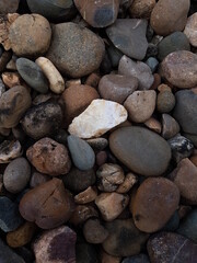 abstract background white precious stone among coral stones