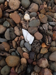 abstract background white precious stone among coral stones