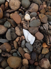 abstract background white precious stone among coral stones