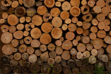 Möbelaufkleber stack of firewood © Matt