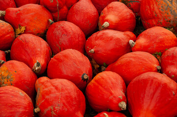 red gourds