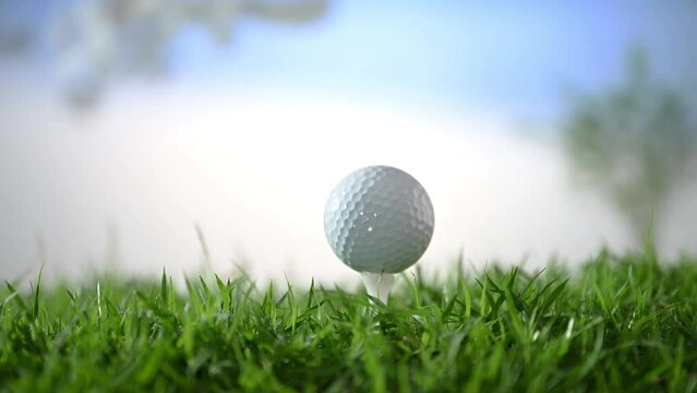 golfer hand holding golf ball and tee plunge into ground