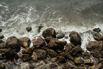 By the sea near Chonburi
