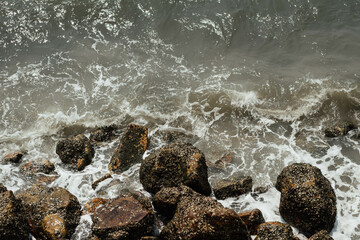 By the sea near Chonburi
