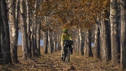 Fototapeta premium The woman travel on mixed terrain cycle touring with bikepacking. The traveler journey with bicycle bags. Sportswear in green black colors. The trip in magical autumn forest, arch, alley, avenue.