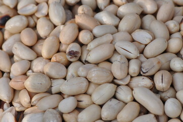close up of beans
