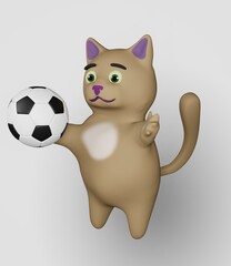 Soccer Ball and Cat