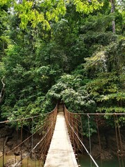 Hanging bridge over Agujitas river in Drake Bay located the Osa Peninsula of Costa Rica