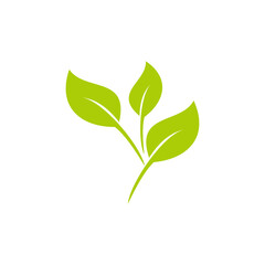 green leaf icon vector on white background