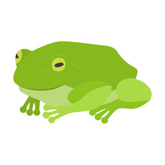 蛙のイラスト