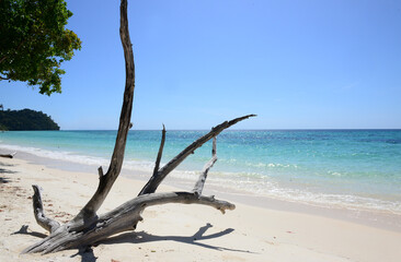 Koh Rok (Rok Island) is a small archipelago in southern Thailand in the Andaman Sea.