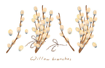 Watercolor Easter set with illustration of willow branches. Hand drawn willow wood isolated on white background. Spring bouquet collection for design, print, fabric. Template for spring holiday.