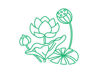 ハスの花、実、葉の手描き線画グリーン