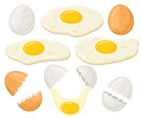 Cartoon chicken eggs vector illustration set. Fresh, fried eggs, broken eggs. Organic farm food isolated on white background