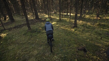 Obraz premium The woman travel on mixed terrain cycle touring with bike bikepacking outdoor. The traveler journey with bicycle bags. Stylish bikepacking, bike, sportswear in green black colors. Magic forest park.