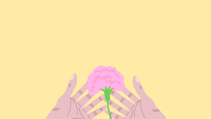 A pair of hands are giving a pink carnation, on a pale yellow background.  Vector. 