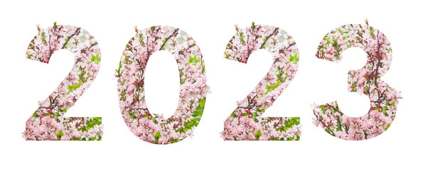 Lettering 2023 with spring botanical alphabet from cherry blossoms and leaves..