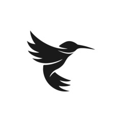 Bird logo design vector template