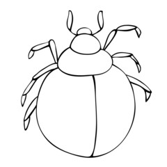 Vector black outline abstract beetle in doodle style. Contoured bug, insect, isolated. Clipart, design element on theme of nature, spring, summer. Template for children's creativity, coloring page