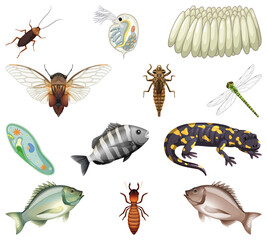 Different kinds of insects and animals on white background