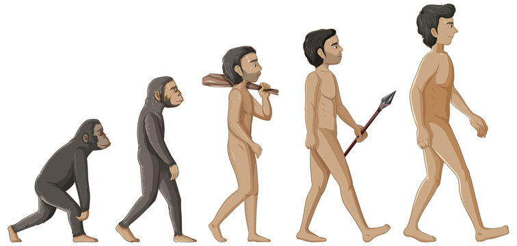 Stages of human evolution cartoon character
