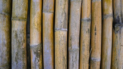 bamboo fence background