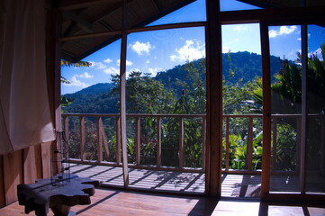 Scenic view from the lodge in rainforest
