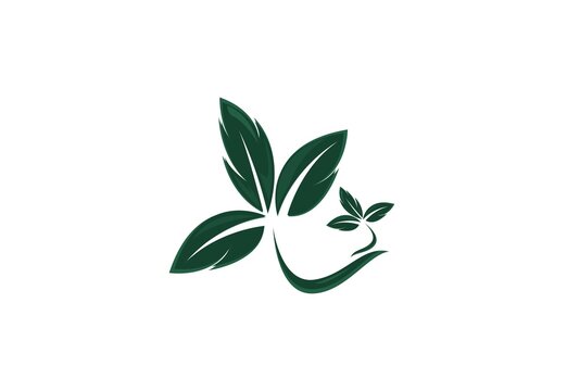 vector logo design leaf circle, green tea herbal, natural medicine, sprout with green leafs