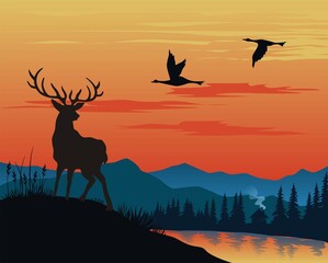 Fototapeta na wymiar silhouette of deer in sunset 