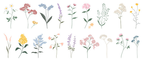 Collection of floral and botanical elements. Set of leaf, foliage wildflowers, plants, bloom, leaves and herb. Hand drawn of blossom spring season vectors for decor, website, graphic and shop. - obrazy, fototapety, plakaty