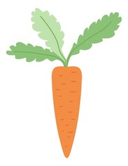 Natural and organic carrot with leaves, vegetable