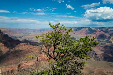 grand canyon national park